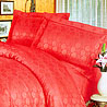 Premium Cotton Satin 4 pieces Embroidered Bedsheet Set