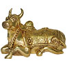 Brass Nandi