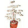 Clear Quartz Crystal Tree